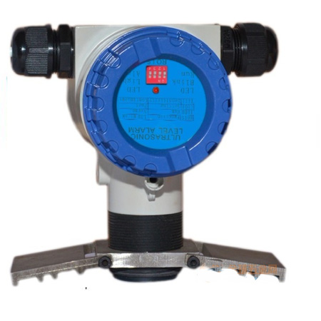 ���N�����_�P